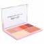 Palette pour le Teint Sun Fizz