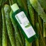 Gel Aloe Vera Multi-Usages - 250ml