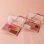 Palette pour le Teint Sun Fizz