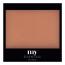 Bronzer Compact 